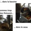L'histoire de la pomme qui va donner du jus